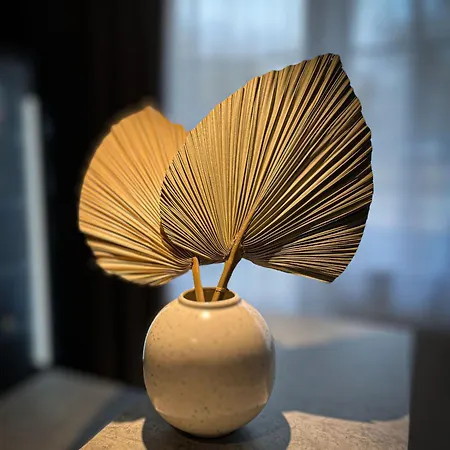 Apart-hotel Holdvirág 4*